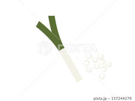 ネギとカットしたネギのシンプルイラスト 137244279
