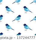 blue bird seamless pattern 137244777