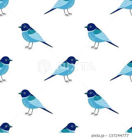 blue bird seamless pattern 137244777