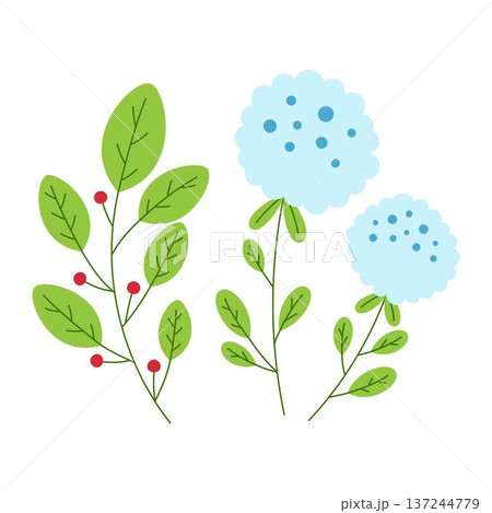 set with berries and flowers 137244779