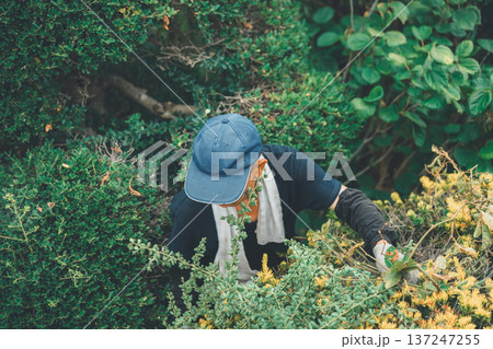 Japanese Gardener 137247255