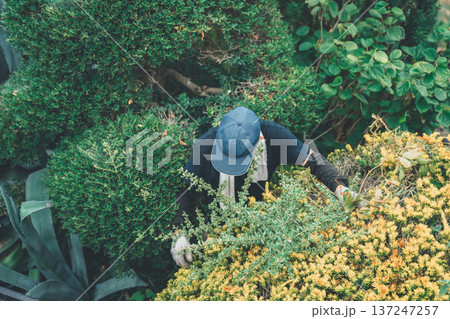 Japanese Gardener 137247257