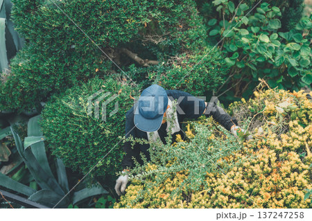 Japanese Gardener 137247258