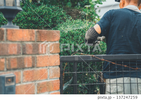 Japanese Gardener 137247259