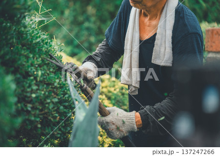 Japanese Gardener 137247266