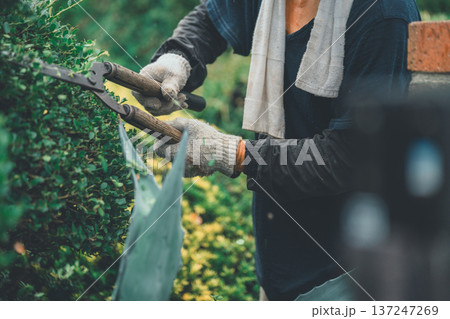 Japanese Gardener 137247269