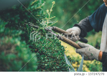 Japanese Gardener 137247270