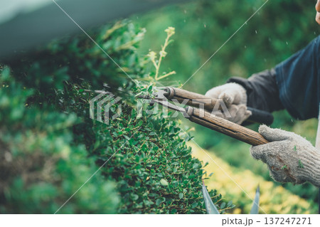 Japanese Gardener 137247271