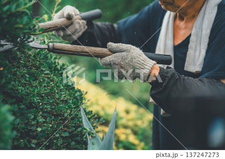 Japanese Gardener Japanese Gardener 137247273