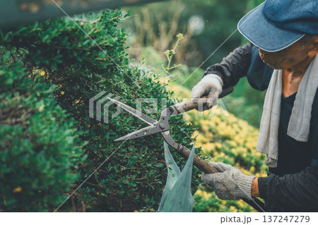Japanese Gardener 137247279