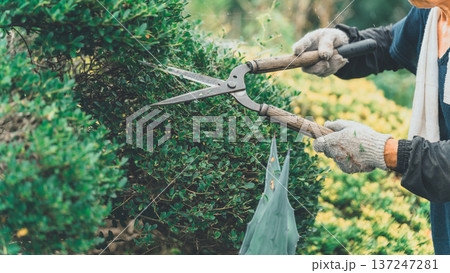 Japanese Gardener 137247281