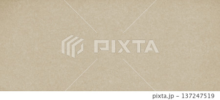 Beige grunge paper background. Vintage brown canvas. Ecru rectangle cardboard. Creamy textured sheet 137247519