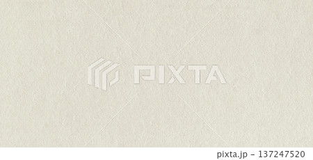 Ivory paper texture background. White canvas with speckles. Creamy cardboard with eggshell texture. Ecru rectangle sheet. Vintage beige grunge paper background 137247520