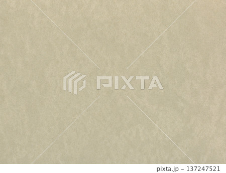 Beige paper background. Ecru grunge rectangle cardboard. Creamy textured sheet. Vintage canvas with gold speckles 137247521