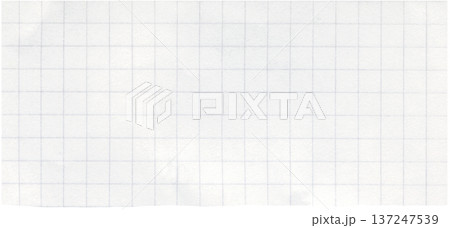 Paper scrap with check grid lines. White notebook page piece with squares texture. Checkered paper surface for school homework. Checkered background of blank notebook sheet 137247539