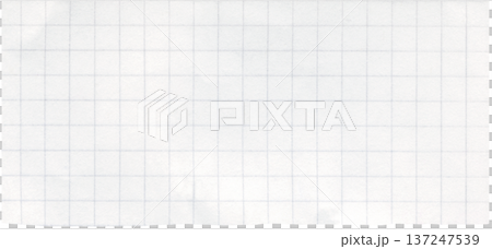 Paper scrap with check grid lines. White notebook page piece with squares texture. Checkered paper surface for school homework. Checkered background of blank notebook sheet 137247539