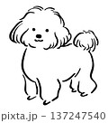 Cute dog poodle doodle hand drawn illustration 137247540