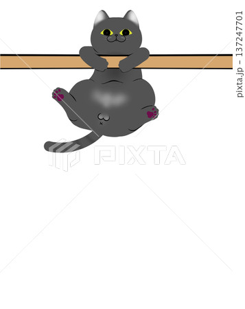 棒にぶら下がった猫 棒にぶら下がった猫 137247701