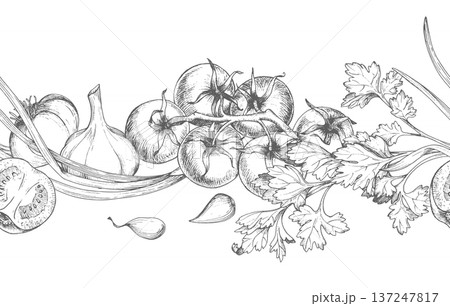 Seamless border of the garlic, tomatoes, green onion and parsley. Vector ink handmade elements. For packaging design, cards, cover, prints, product labels and fabric. Seamless border of the garlic, tomatoes, green onion and parsley. Vector ink handmade elements. For packaging design, cards, cover, prints, product labels and fabric. 137247817