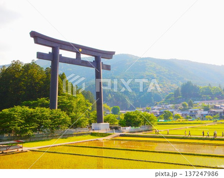 熊野本宮大社旧社地 大斎原の風景 和歌山県 6 熊野本宮大社旧社地 大斎原の風景 和歌山県 6 137247986