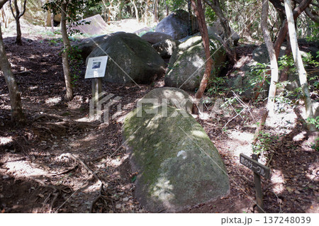 高知県 唐人駄場遺跡・東のサークル 高知県 唐人駄場遺跡・東のサークル 137248039