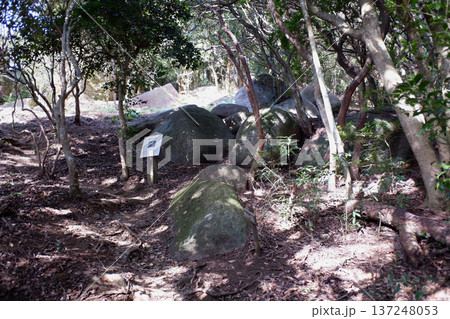 高知県 唐人駄場遺跡・東のサークル 高知県 唐人駄場遺跡・東のサークル 137248053