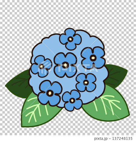 Simple illustration icon of hydrangea (blue) Simple illustration icon of hydrangea (blue) 137248135