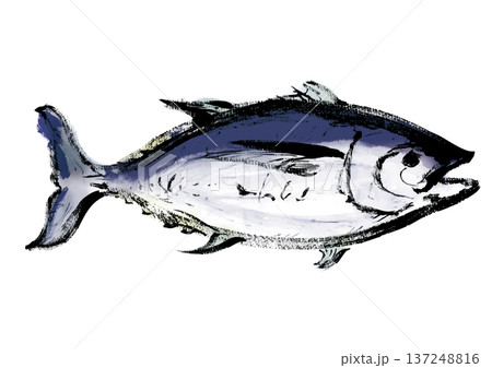 マグロの和風筆書きイラスト　右向き 137248816