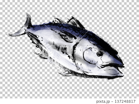 日式水墨畫風格的鮪魚插圖，魚頭朝右 137248817