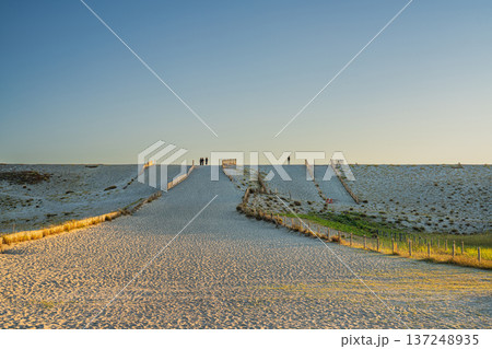浜松市の中田島砂丘の風景(静岡県) 浜松市の中田島砂丘の風景(静岡県) 137248935