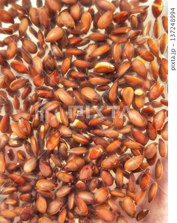 soaked flax seeds. jelly-like flax seeds 137248994