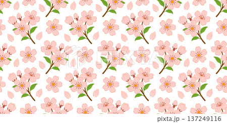 Seamless pattern of pink cherry blossom branches and petals in flat vector style 137249116