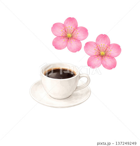 水彩風 コーヒーカップと三輪の桜 切り抜き素材 春のカフェイラスト 137249249