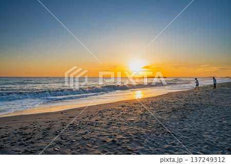 浜松市の中田島砂丘の風景(静岡県) 浜松市の中田島砂丘の風景(静岡県) 137249312