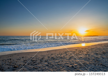 浜松市の中田島砂丘の風景(静岡県) 浜松市の中田島砂丘の風景(静岡県) 137249313