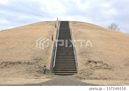 牧の原公園の築山　千葉県印西市 137249318