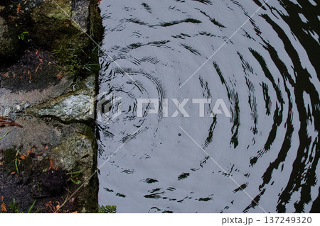 水面には文の広がる風景 137249320