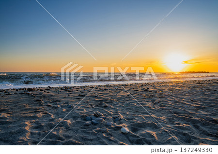 浜松市の中田島砂丘の風景(静岡県) 浜松市の中田島砂丘の風景(静岡県) 137249330