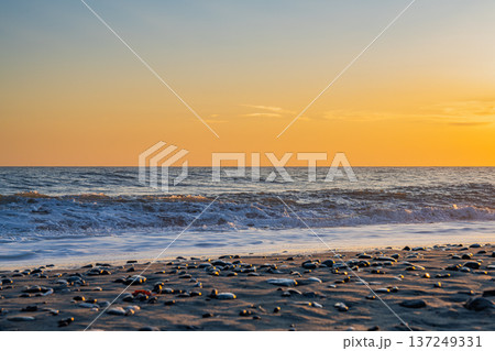 浜松市の中田島砂丘の風景(静岡県) 137249331