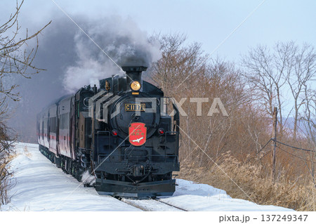SL冬の湿原号 C11 171 雪の釧路湿原を走る蒸気機関車 SL冬の湿原号 C11 171 雪の釧路湿原を走る蒸気機関車 137249347
