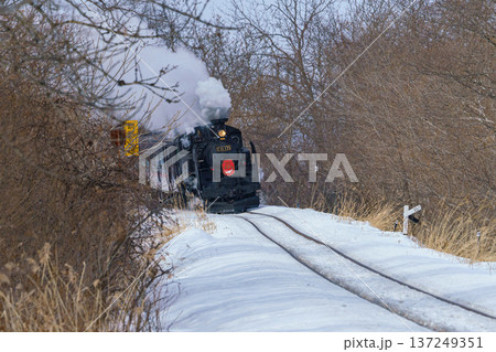 SL冬の湿原号 C11 171 雪の釧路湿原を走る蒸気機関車 137249351