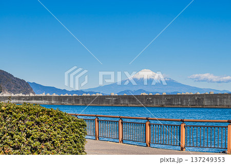 焼津市の焼津漁港周辺から見た富士山の風景(静岡県) 137249353