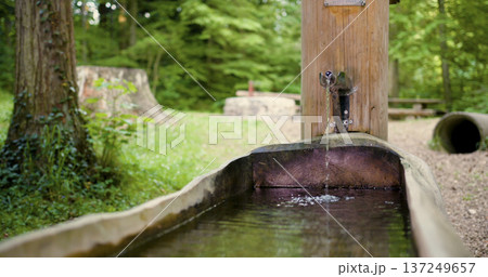 Wooden water fountain flows through a long trough in a green forest with picnic area nearby 137249657