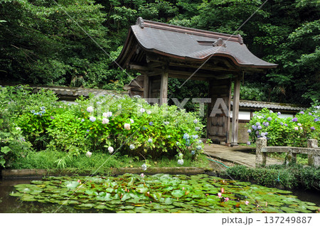 松江の月照寺 137249887