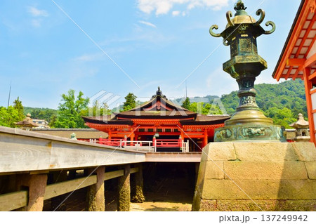 夏の宮島・厳島神社本殿 正面から望む世界遺産の景観 夏の宮島・厳島神社本殿 正面から望む世界遺産の景観 137249942