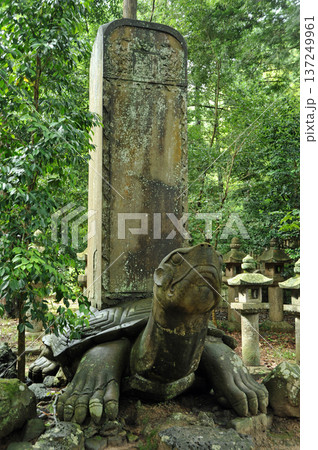 月照寺の大亀 月照寺の大亀 137249961