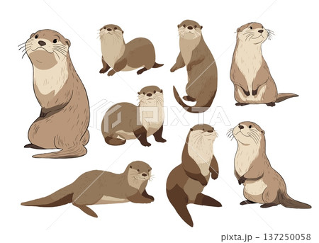 Brown river otter characters cartoon vector set. Various standing lying poses light beige fur small whiskers wildlife animal isolated on white 137250058