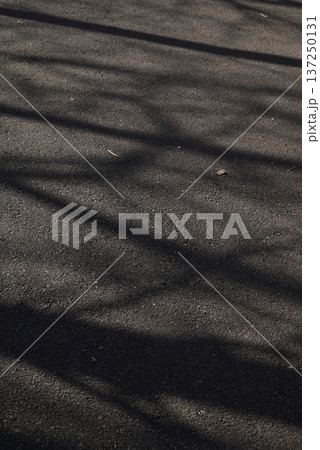 アスファルトと木の影 アスファルトと木の影 137250131