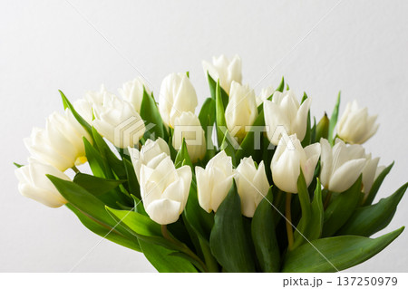 Close-up of a beautiful spring bouquet with white tulips, showcasing the delicate petals and vibrant freshness, perfect for nature-inspired decor Close-up of a beautiful spring bouquet with white tulips, showcasing the delicate petals and vibrant freshness, perfect for nature-inspired decor 137250979