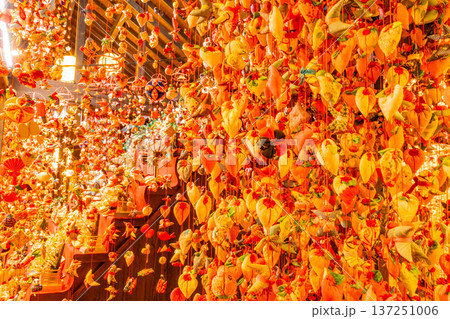 （静岡県）文化公園雛の館・雛のつるし飾り 137251006